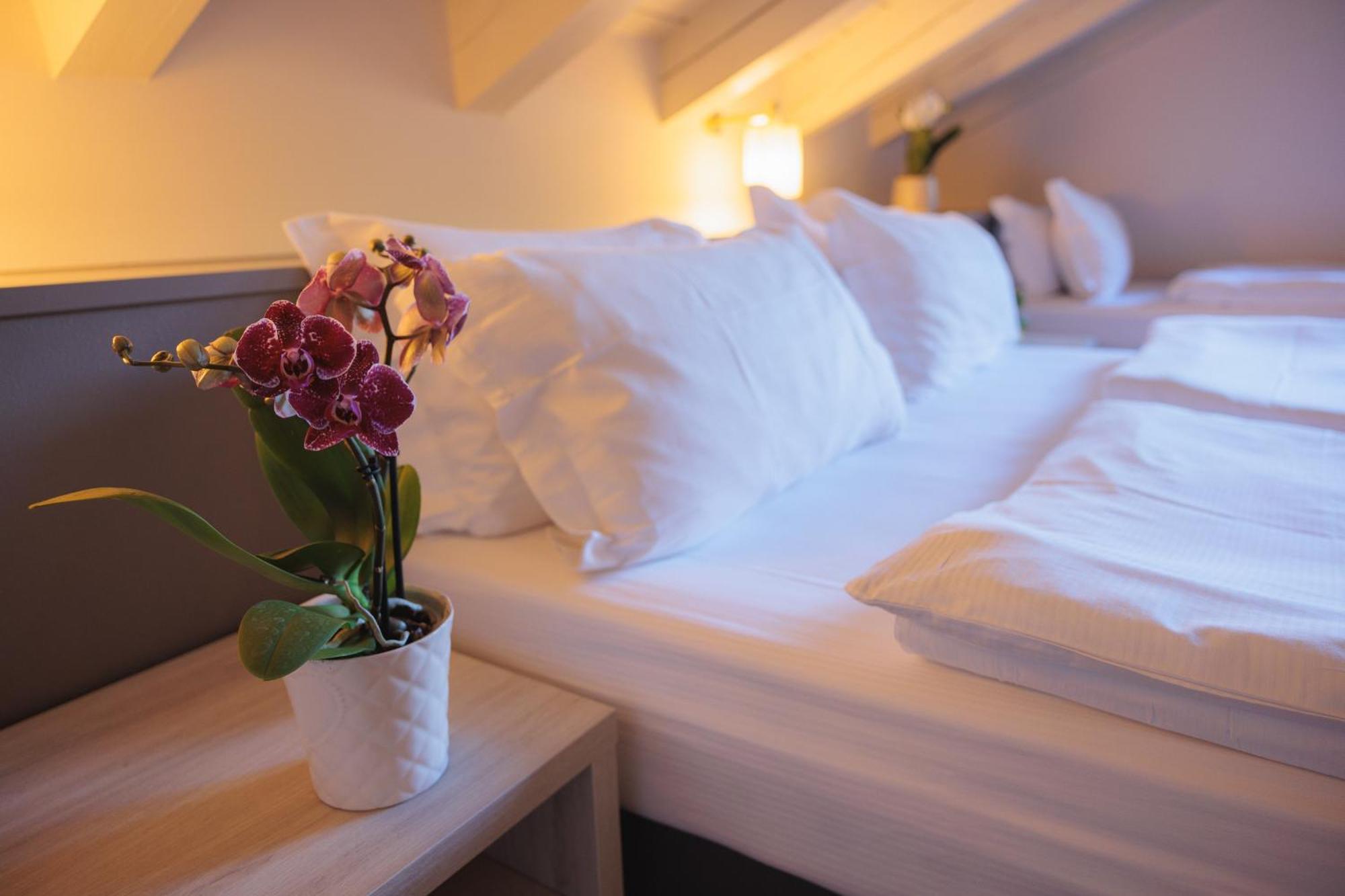 Hotel Binelli 핀졸로 외부 사진